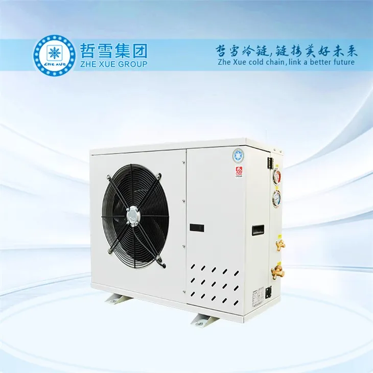 Unità ta 'kondensazzjoni mkessħa bl-arja kummerċjali ermetika